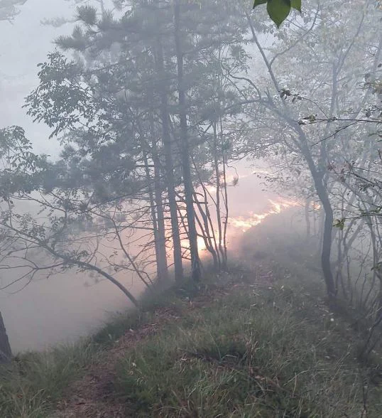 FOTO: PGD Kočevska Reka