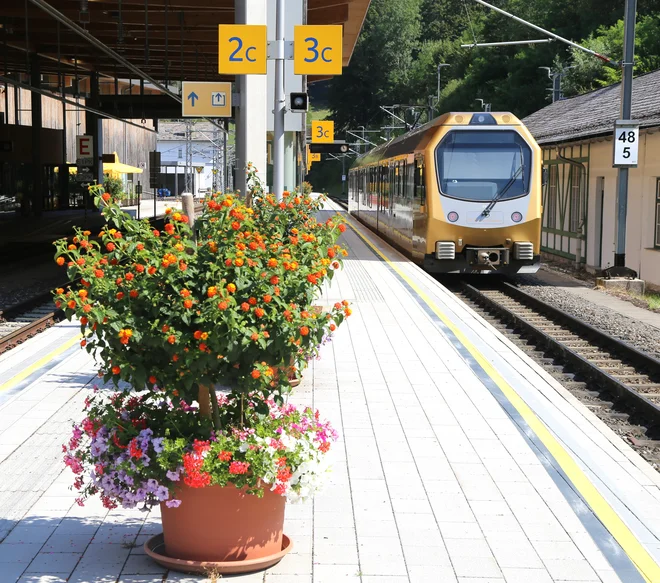 Stara, ozkotirna železnica Mariazellerbahn z novimi vagoni prevaža potnike od St. Pöltna, glavnega mesta Spodnje Avstrije, do Mariazella na Štajerskem. FOTO: Milan Ilić