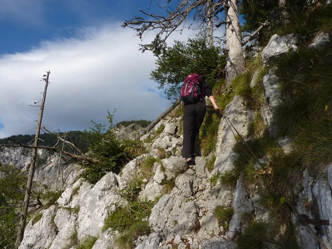 Pot čez Komarčo. FOTO: Boštjan Fon