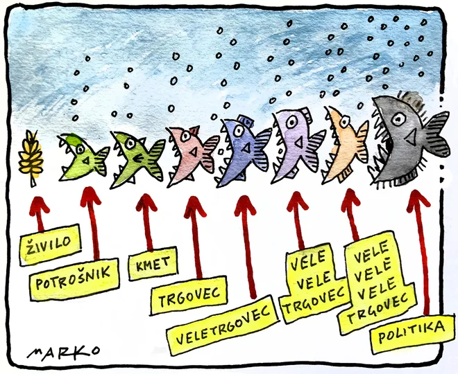 KARIKATURA: Foto Marko Hočevar