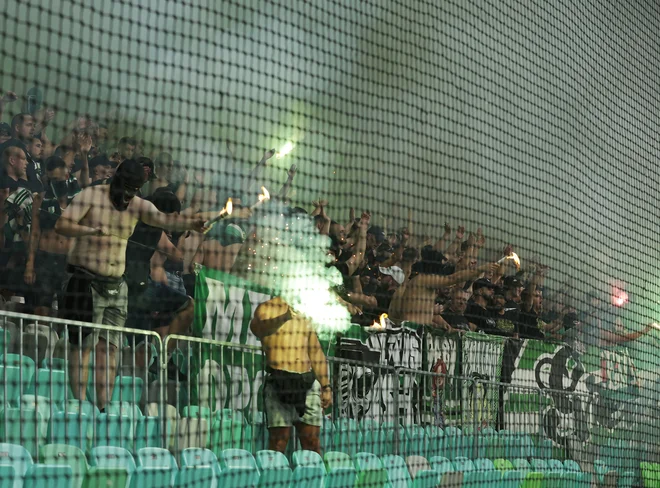 FOTO: Jože Suhadolnik/Delo