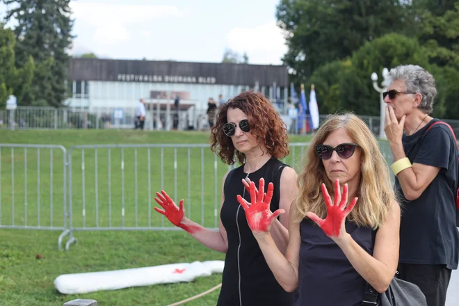 Po besedah protestnikov je mednarodnopravna dolžnost Slovenije, da uporabi vse vzvode proti Izraelu pri kršenju konvencije o preprečevanju in kaznovanju zločina genocida. FOTO: Blaž Samec/Delo