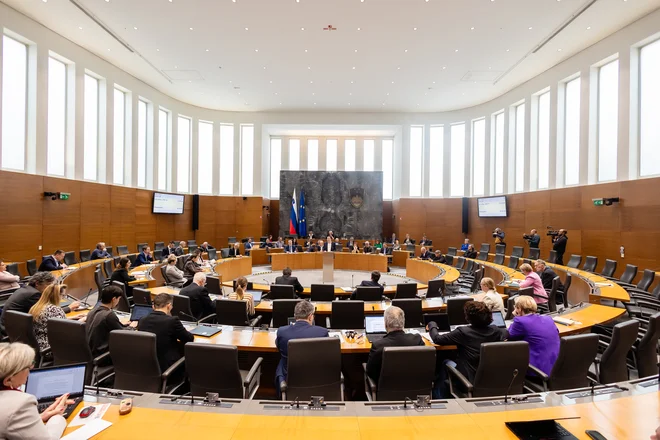 Šest milijonov in pol razlogov za koalicijo ni bilo dovolj za odhod ministrice, modre lučke in prekršek na cesti pa so njeno usodo zapečatile. FOTO: Črt Piksi
