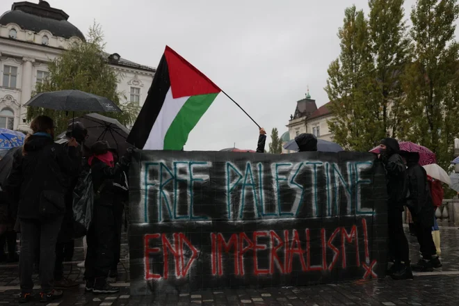 Shod za Palestino v Ljubljani. FOTO: Črt Piksi