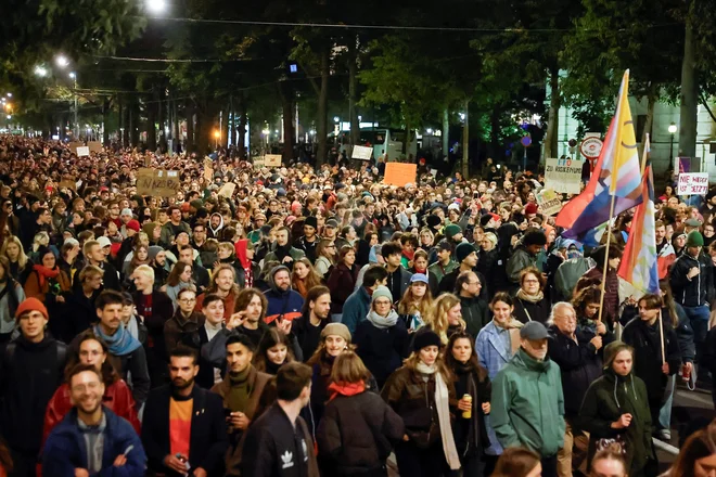 Po ocenah organizatorjev se je zbralo okrog 250.000 ljudi. FOTO: Lisa Leutner/Reuters