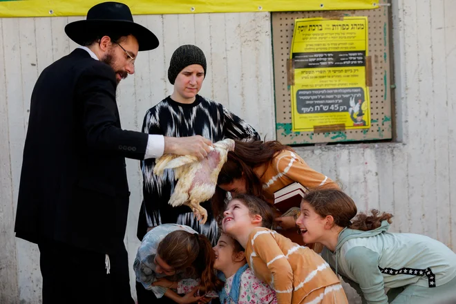 Ultraortodoksni Judje izvajajo obred v mestu Bnei Brak, pri katerem zakoljejo bele piščance kot simbolično gesto sprave pred Jom Kipurjem, judovskim dnevom sprave. Foto: Gonzalo Fuentes/Reutersrs