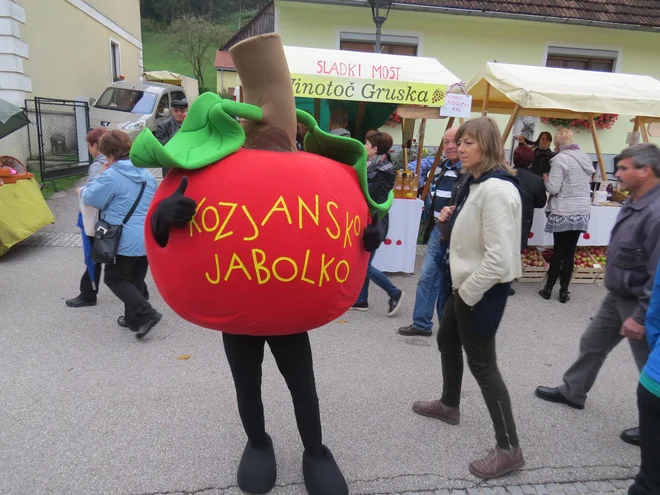 Jubilejni 25. Praznik kozjanskega jabolka se je začel minulo nedeljo s 16. pohodom po sadovnjakih Kozjanskega parka, ki se ga je udeležilo okoli 90 pohodnikov (fotografija je arhivska). FOTO: Bojan Rajšek