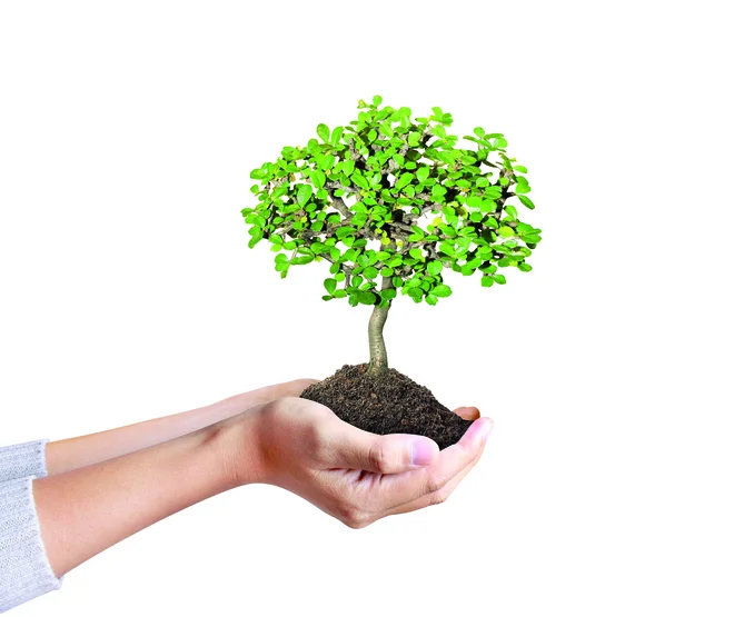 FOTO: Shutterstock