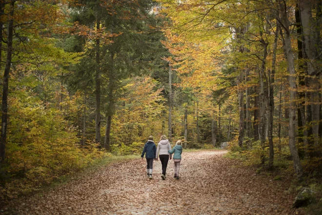 Naravovarstvo je že desetletja trn v peti kapitalu. FOTO: Jure Eržen/delo