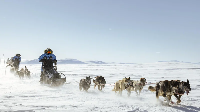 Običajno so se odpravili ob osmih in bili z enournim odmorom za kosilo na poti do petih popoldne. FOTO: Adam Bove/Fjallraven Polar