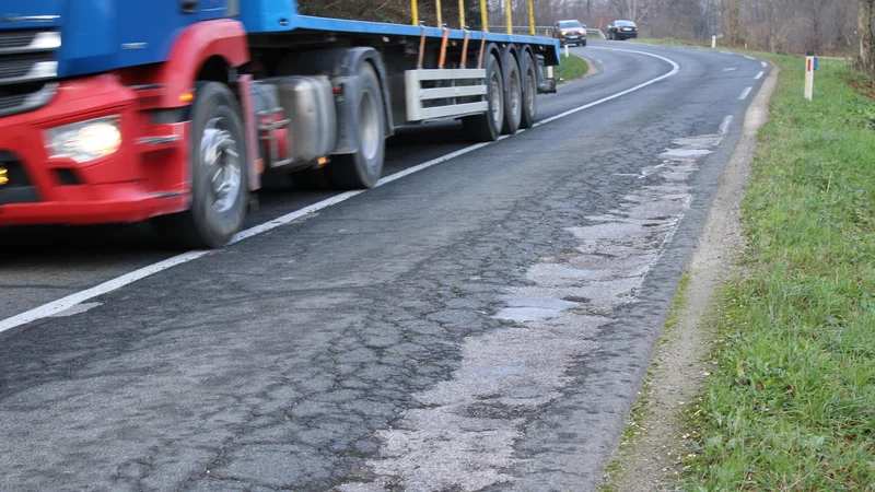 Dotrajana državna cesta med Veliko Račno in Velikim Mlačevim je nevarna za ljudi in tudi za žabe. FOTO: Bojan Rajšek/Delo