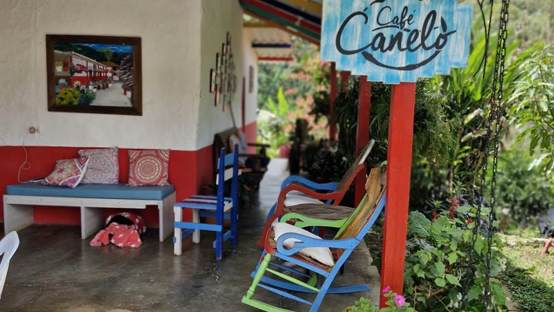 Na posestvu Cafe Canelo rastejo kava, banane, koruza, limone in drugi citrusi ter še več drugih vrst sadja in zelenjave. FOTO: Borut Tavčar/Delo