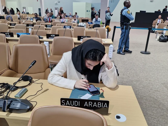 Delegacija Savdske Arabije je na podnebno konferenco prišla branit status quo glede fosilnih goriv, kar ji je uspelo. FOTO: Maja Prijatelj Videmšek