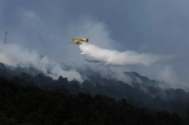 Požar na območju Škrbine proti hribu Trstelj na Krasu FOTO: Leon Vidic