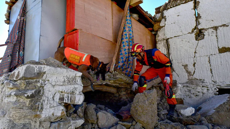 V mestu Shigatse na Tibetu se nadaljuje iskanje morebitnih preživelih. FOTO: Stringer/AFP