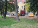 image_alt