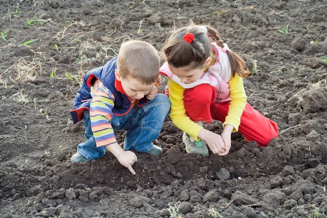 V igri smo vztrajali zaradi sosede Maje. FOTO: Shutterstock