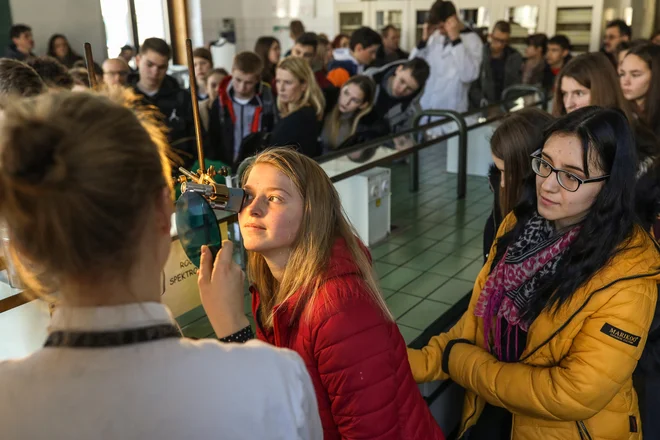 Čeprav so tradicionalni poklici, kot so učitelj, zdravnik ali prevajalec, še vedno prisotni, si veliko mladih želi podjetništva in finančne neodvisnosti. FOTO: Voranc Vogel/Delo