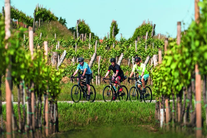 Network of cycling and hiking trails offers countless options for exploring Brda Photo: Zoso Photography/ZTKMŠ Brda Archive