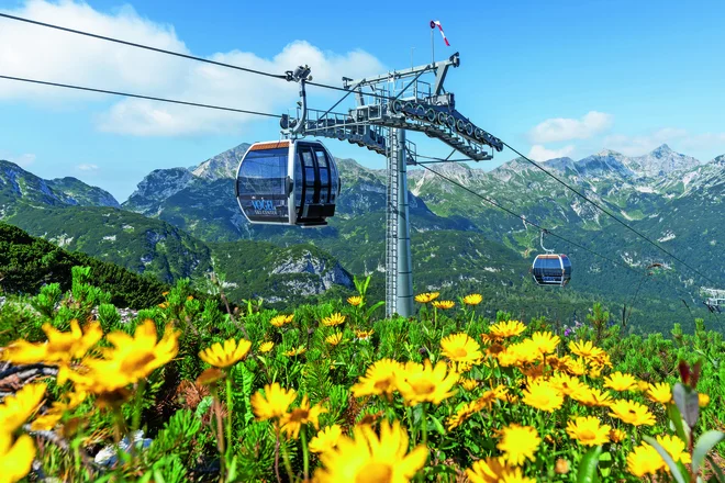 At Vogel you will be able to take a panoramic circular cable car and enjoy the beauties of the Julian Alps. Photo: Vogel Ski Center