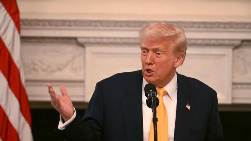 Trump, ki je v intervjuju večkrat poudaril, da odgovornost za vojno ni zgolj na strani Rusije, je izjavil, da sta Biden in Zelenski napačno ravnala. FOTO: Jim Watson/AFP