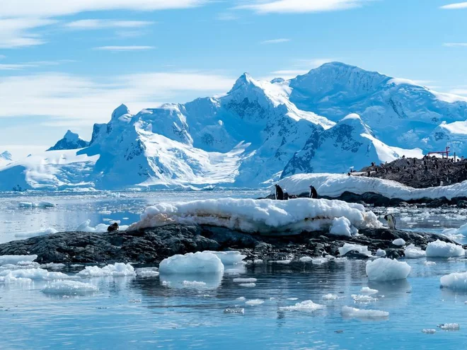 Razprave o prihodnosti antarktičnega turizma bodo ključne za zaščito njenega edinstvenega ekosistema. FOTO: Shutterstock