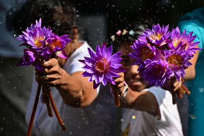 Budistični verniki držijo lotosove cvetove pred molitvijo ob verskem prazniku »Poya« ob polni luni v budističnem templju v mestu Kelaniya. Foto: Ishara S. Kodikara/Afp