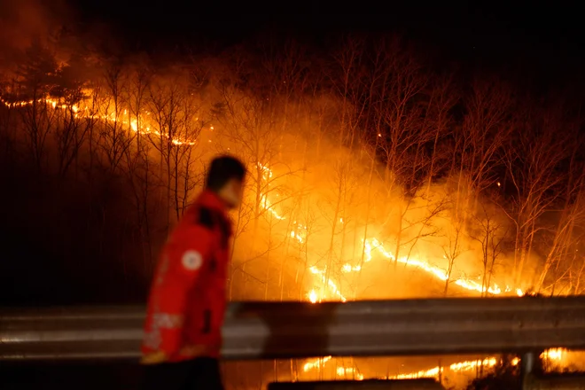 Oblasti menijo, da so človeške dejavnosti sprožile več požarov, vendar so močni vetrovi in ​​suha zemlja omogočili njihovo hitro širjenje. FOTO: Anthony Wallace/AFP