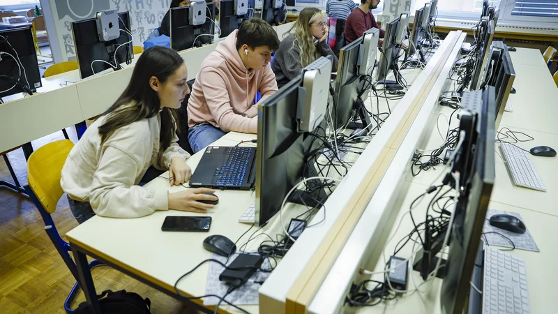 Če bo zakon o maturi sprejet, bi prva generacija maturantov srednješolsko izobraževanje pod novimi pogoji končala v šolskem letu 2030/31. FOTO: Jože Suhadolnik/Delo