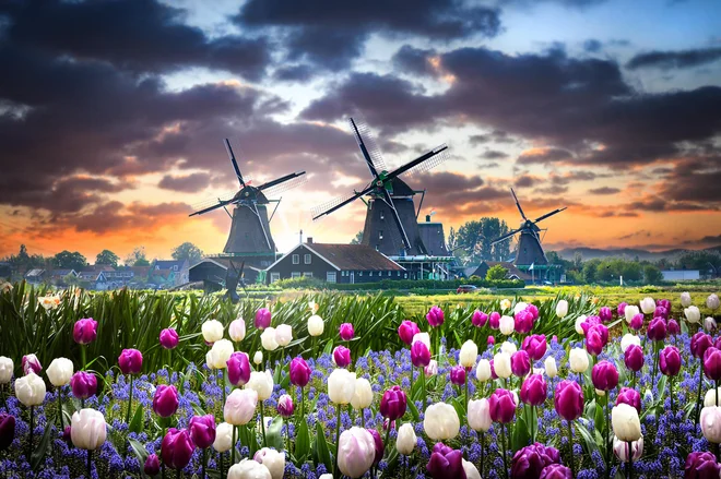Amsterdam. FOTO: L/Shutterstock