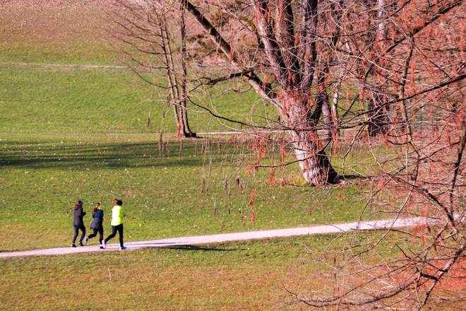 Telesna aktivnost sprošča naravne hormone sreče, izboljša koncentracijo in zmanjša stres, dolgotrajno sedenje pa upočasni cirkulacijo, poveča mišično napetost in zmanjša dotok kisika v možgane, kar povzroča občutek izčrpanosti. Že 15-minutni sprehod ali nekaj razteznih vaj lahko bistveno izboljša počutje. FOTO: Dejan Javornik/Delo