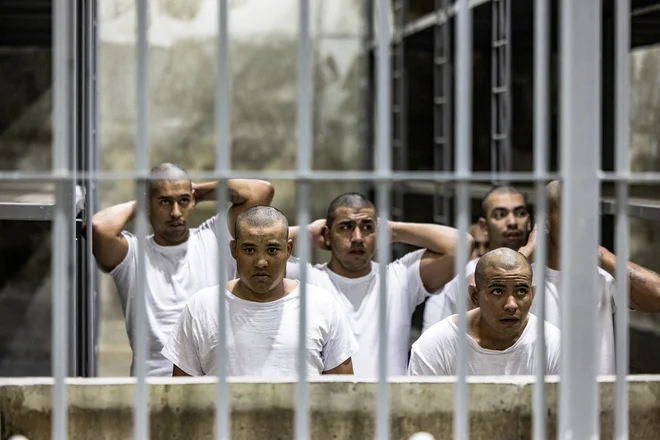 Domnevni člani venezuelskih in salvadorskih tolp v salvadorskem zaporu. FOTO: Reuters