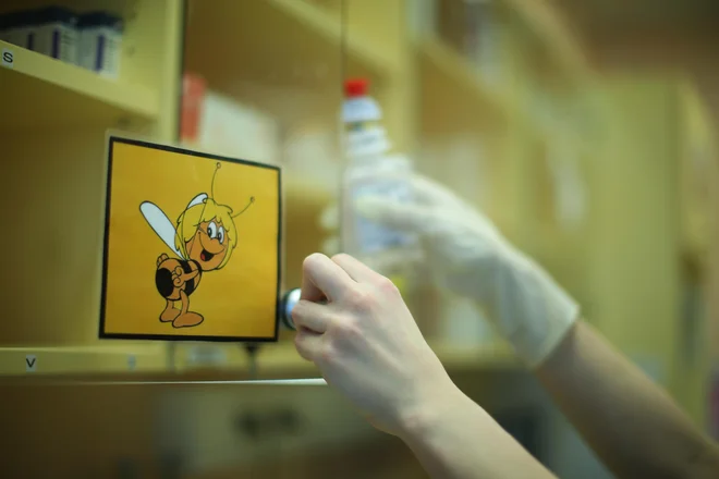 Za starše predstavlja zdravljenje v tujini dodatno stisko, saj se mnogi težko soočajo že s samim dejstvom, da ima otrok hudo bolezen, zdravljenje v tujini pa je za njih toliko bolj naporno. FOTO: Jure Eržen/delo