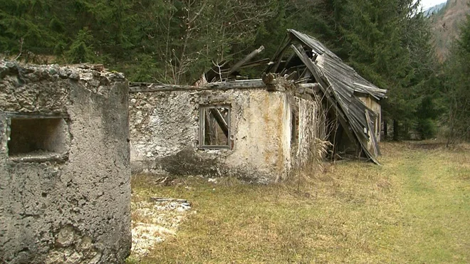 Na parceli v Trenti, znani kot Tonderjeva domačija, že več desetletij stojijo ruševine nekdanje kmetije, do zemljišča pa ni mogoče dostopati z avtomobilom. FOTO: Pop TV