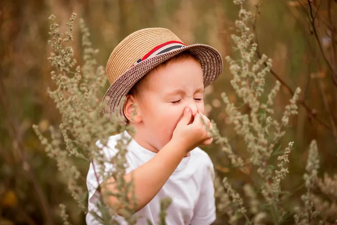 Močen vonj cvetočih rastlin lahko še kako vpliva na naše počutje. FOTO: Shutterstock