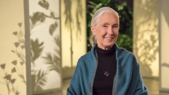 Masterclass dr. Jane Goodall: Humans & The Environment