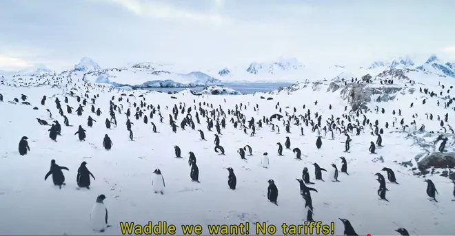 Raise dandruff! Raise the beak!