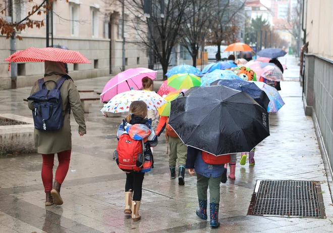 Do ponedeljka pozno zvečer bo lahko na območju Gorenjske padlo od 20 do 50 milimetrov dežja, krajevno lahko zaradi nevihtnega značaja padavin tudi do okoli 70 milimetrov. FOTO: Dejan Javornik