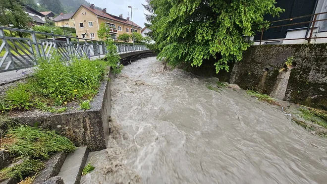 Grown water in Cerkno. Photo: Tine Venko