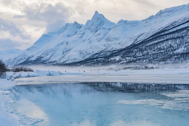 Arktiko poleg Antarktike pogosto označujemo kot »zemeljski hladilnik«. FOTO: Shutterstock