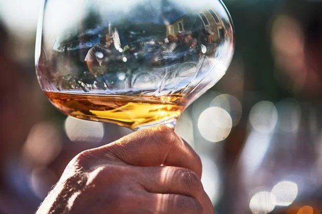 What lies behind the success of the wine offer in the Vipava Valley?
