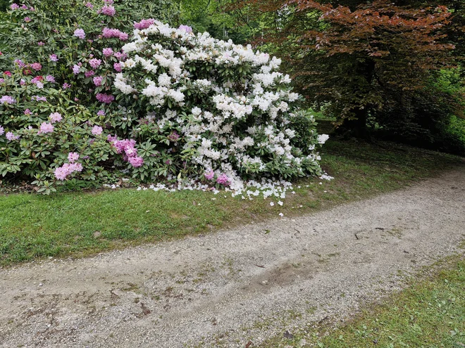 Wonderful flowers waterfall. Photo: Beti Burger