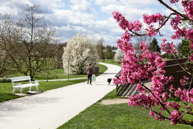 Spomladi je obiskovalcev največ, a park je lep v vseh letnih časih. FOTO: Klara Kopač