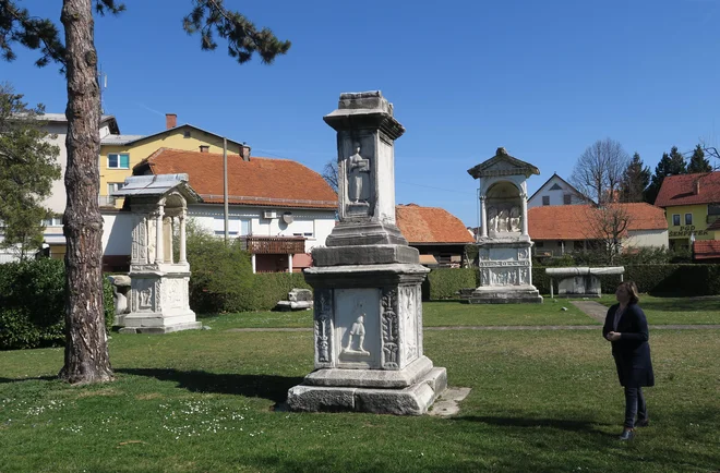 Rimska nekropola v Šempetru v Savinjski dolini je spomenik državnega pomena, ki že nekaj let propada. FOTO: Dejan Javornik