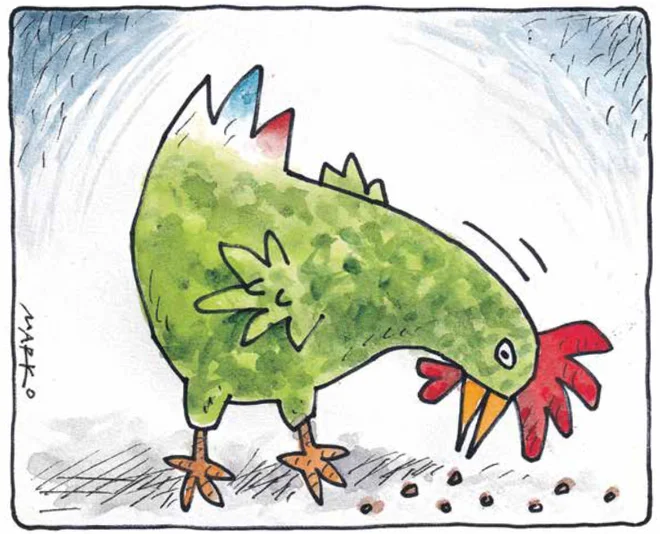 Slepa kura. KARIKATURA: Marko Kočevar