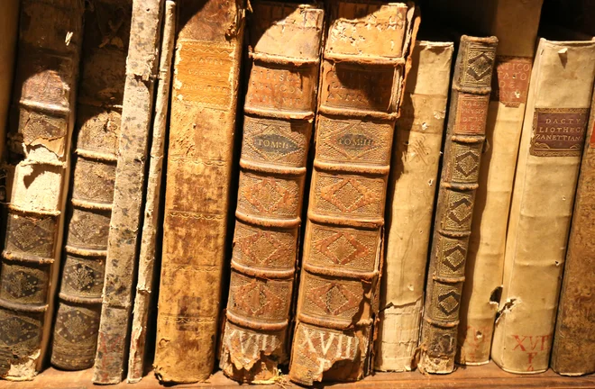 Biblioteca Capitolare je najstarejša neprekinjeno delujoča knjižnica
na svetu. FOTO: MIlan Ilić