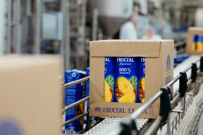 FOTO: Fructal