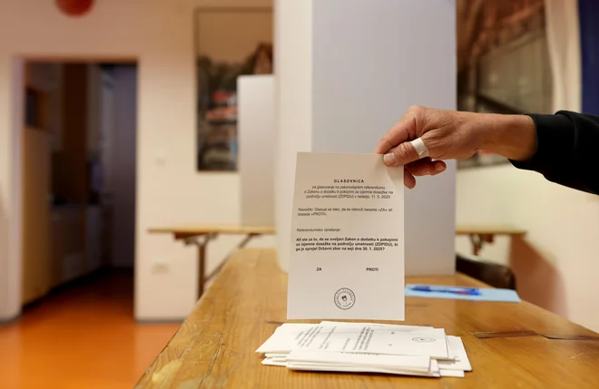 Če kaj, potem je ta referendum pokazal, da SDS desnico lahko mobilizira skoraj sredi noči, če je treba, ugotavlja politolog Marinko Banjac. FOTO: Blaž Samec/Delo