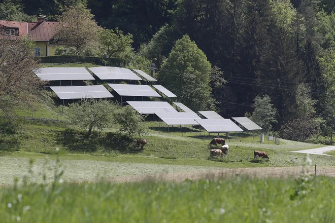 Kmetijsko-gozdarska zbornica je opozorila, da novela zakona o kmetijskih zemljiščih omogoča postavitev sončnih elektrarn na 130.000 hektarih kmetijskih zemljišč, kar je več kot 20 odstotkov kmetijskih zemljišč v uporabi. Na kmetijskem ministrstvu so pojasnili, da je to največji potencial, ki ga v praksi ne bo mogoče v celoti izkoristiti. FOTO: Leon Vidic/Delo