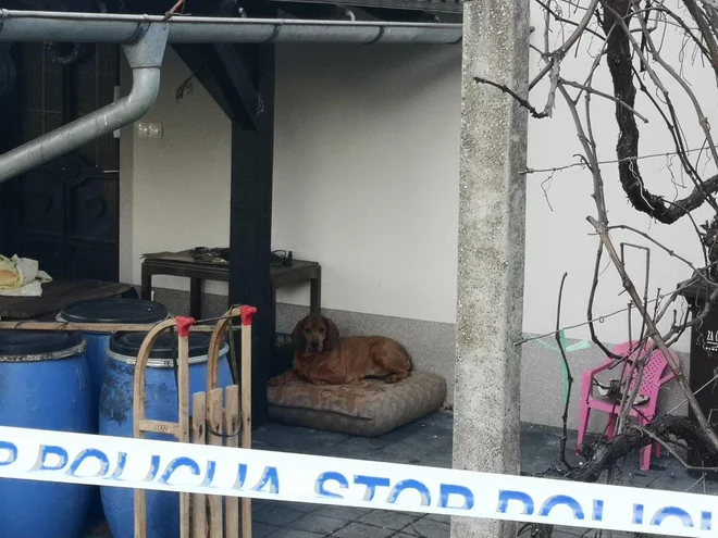 Policija je ugotovila, da je šlo za uboj. FOTO: Milan Glavonjić
